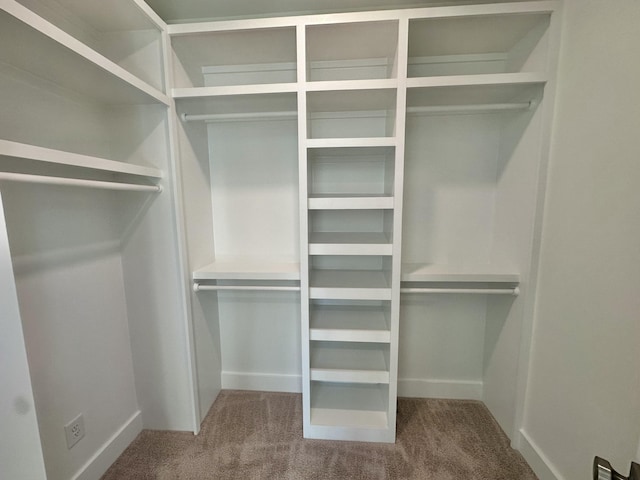 walk in closet with carpet flooring