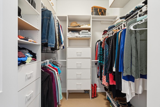 spacious closet with light colored carpet