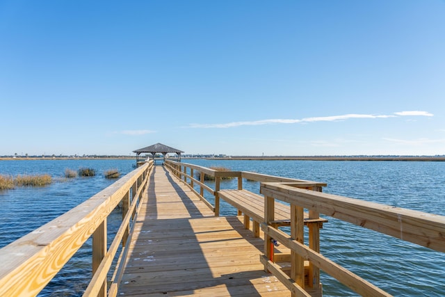 dock area with a water view