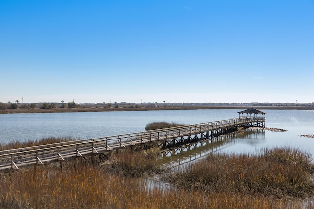 dock area with a water view