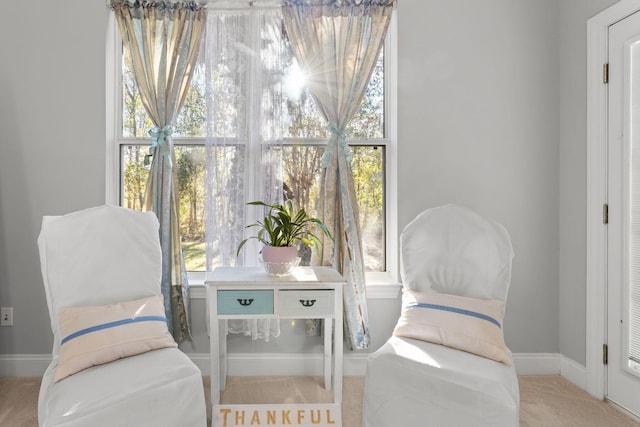 living area featuring light colored carpet and plenty of natural light