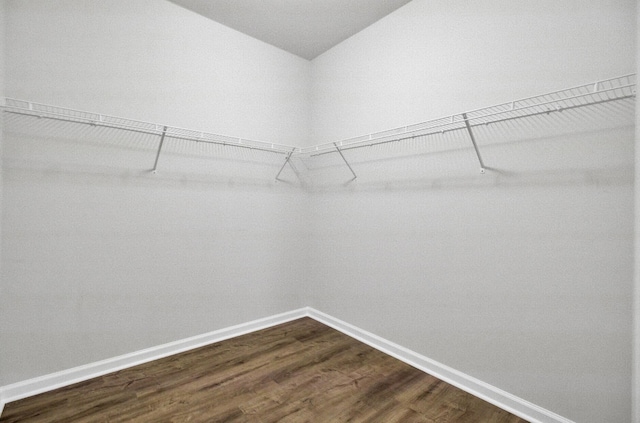121 Ancestry Ln, Moncks Corner, SC 29461 - spacious closet with dark wood-type flooring and vaulted ceiling