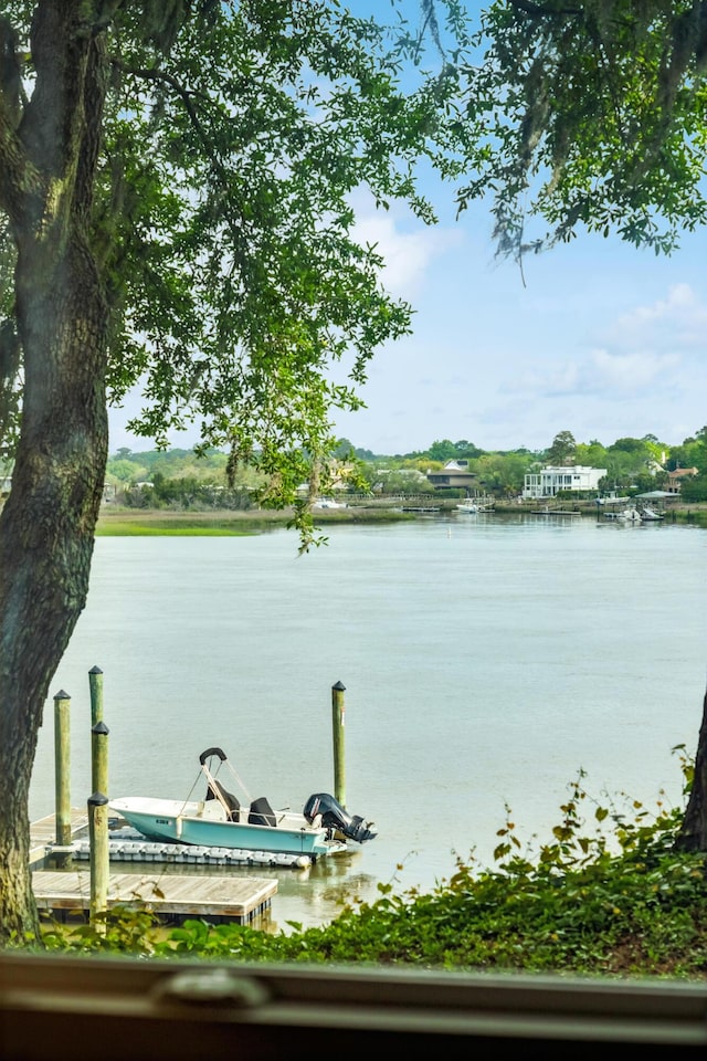 water view featuring a dock