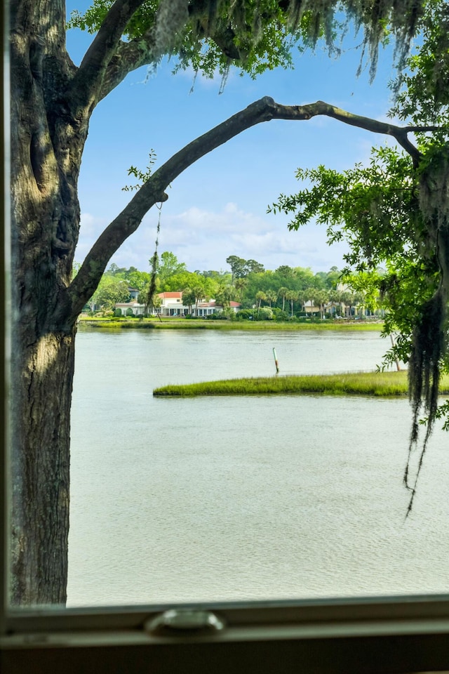 view of water feature
