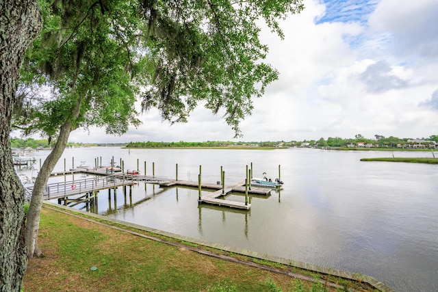 dock area with a water view