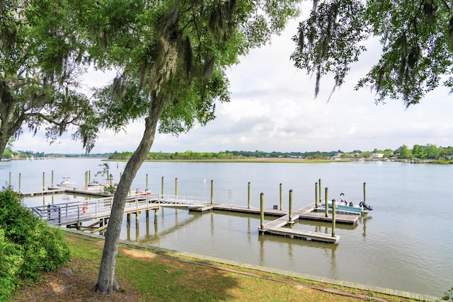 dock area with a water view