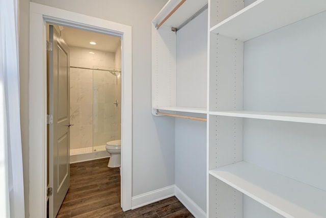 walk in closet featuring dark wood-style floors