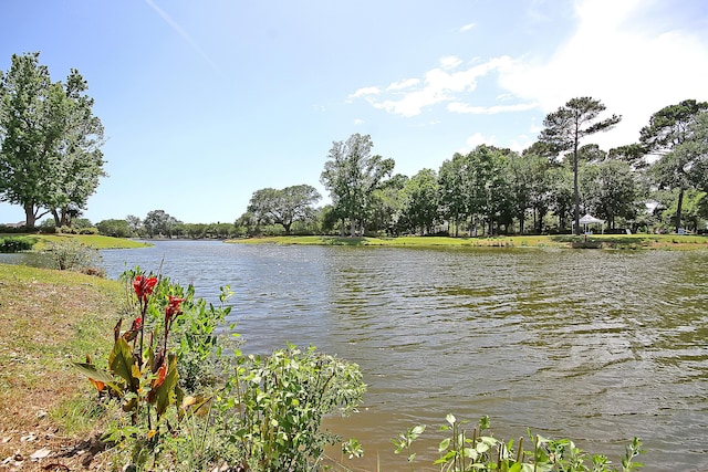 property view of water