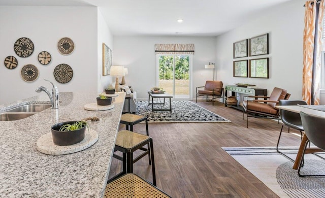 living room featuring hardwood / wood-style flooring and sink