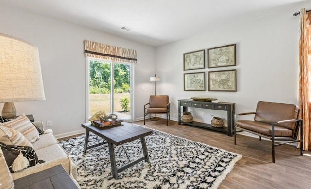 living room featuring wood-type flooring