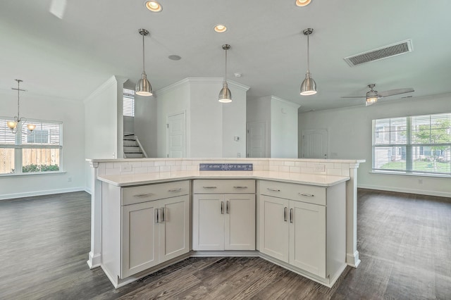 211 Saxony Loop, Summerville, SC 29486 - kitchen featuring healthy amount of natural light, dark wood-style flooring, baseboards, a kitchen island, and recessed lighting