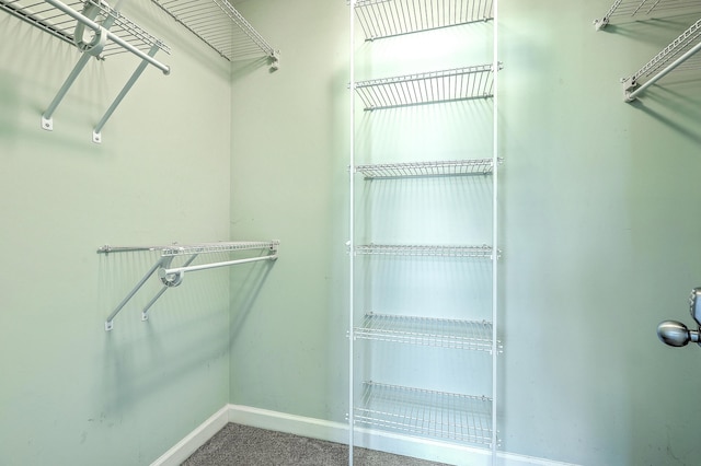 211 Saxony Loop, Summerville, SC 29486 - spacious closet featuring carpet floors