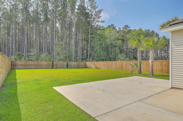 211 Saxony Loop, Summerville, SC 29486 - view of yard featuring a patio