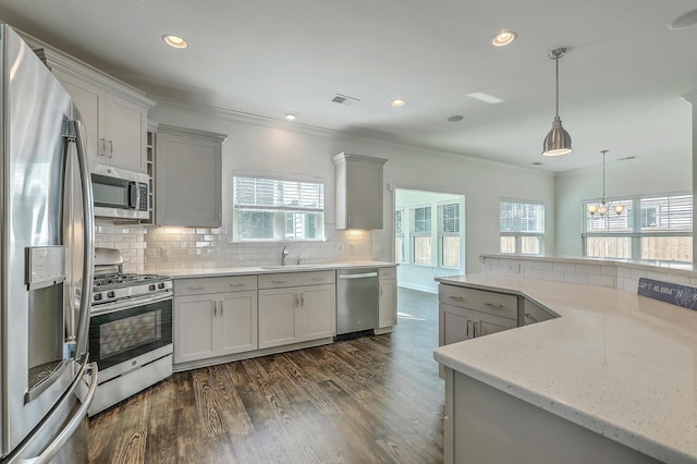 211 Saxony Loop, Summerville, SC 29486 - kitchen featuring stainless steel appliances, plenty of natural light, backsplash, dark wood finished floors, and crown molding