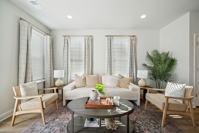 living room with hardwood / wood-style flooring and plenty of natural light