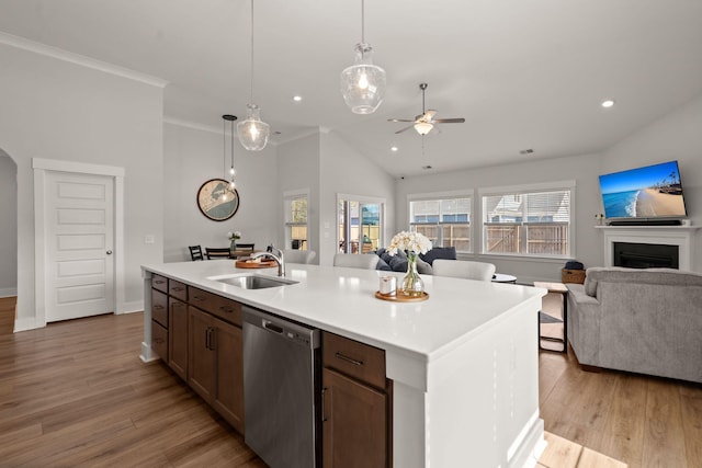 kitchen with light wood-style floors, open floor plan, a sink, and stainless steel dishwasher