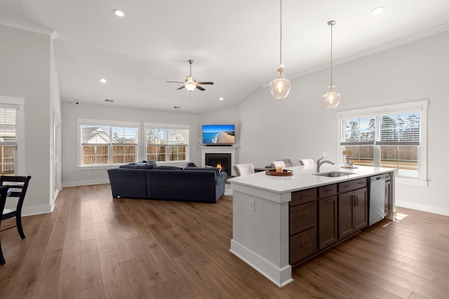 kitchen featuring hardwood / wood-style flooring, a sink, a lit fireplace, stainless steel dishwasher, and light countertops