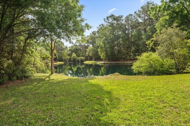 2132 Summerwood Dr, Mount Pleasant, SC 29466 - water view with a heavily wooded area
