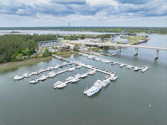 2132 Summerwood Dr, Mount Pleasant, SC 29466 - bird's eye view of a large body of water and numerous boat docks
