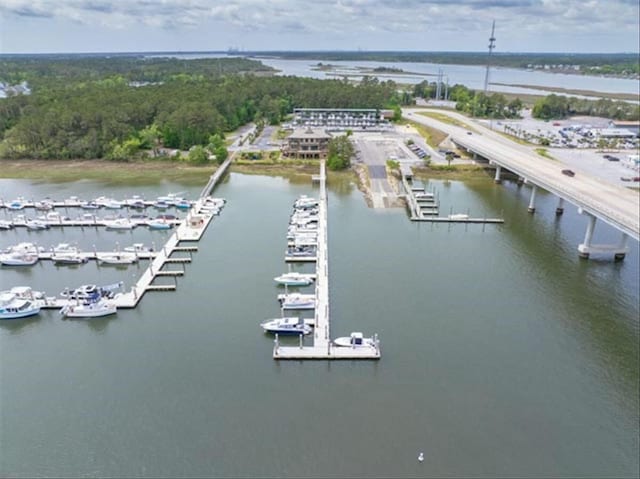 2132 Summerwood Dr, Mount Pleasant, SC 29466 - bird's eye view of a large body of water