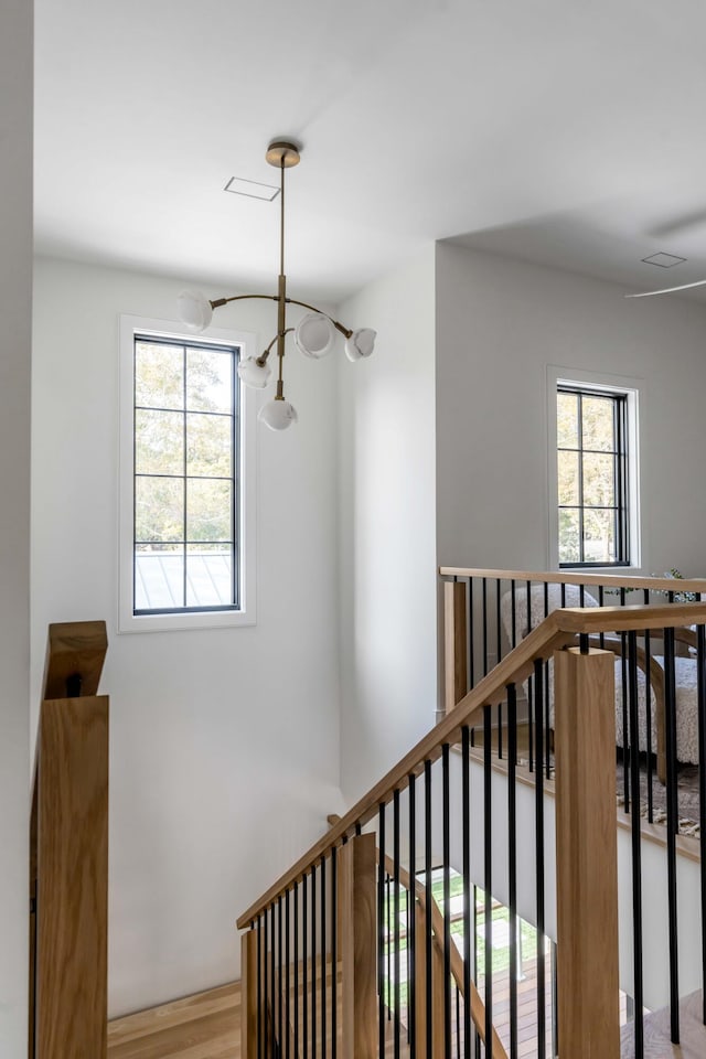 staircase featuring hardwood / wood-style floors