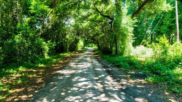 00 Arsburn Rd, Charleston, SC 29412