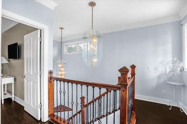 corridor featuring ornamental molding and dark hardwood / wood-style floors