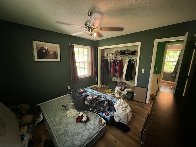 bedroom with a ceiling fan, a closet, a textured ceiling, and wood finished floors