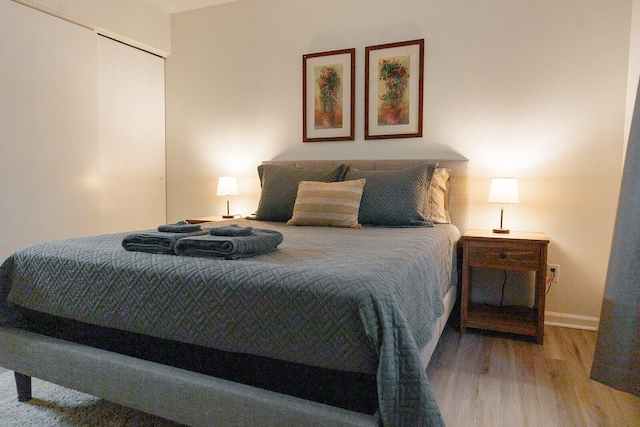 bedroom with hardwood / wood-style floors and a closet