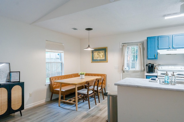 dining room with light hardwood / wood-style flooring