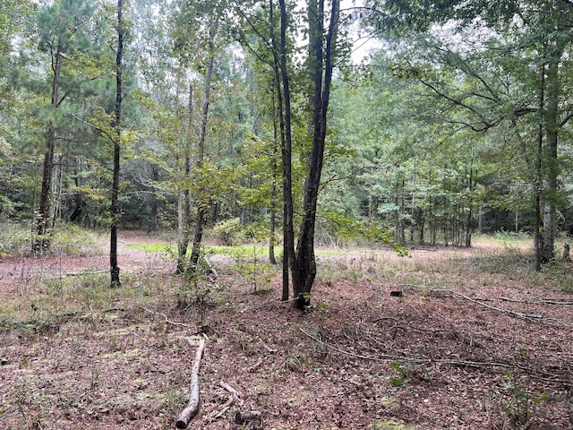 TBD Wild Turkey Rd, Cameron SC, 29030 land for sale