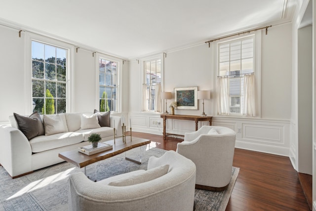 living room with a wainscoted wall, dark wood finished floors, and a decorative wall