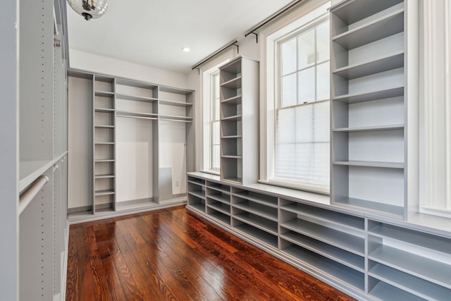 walk in closet featuring wood finished floors