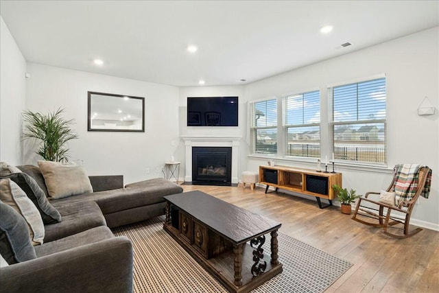 living room with light hardwood / wood-style floors