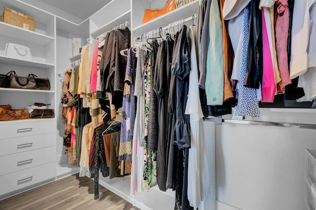 spacious closet featuring wood finished floors