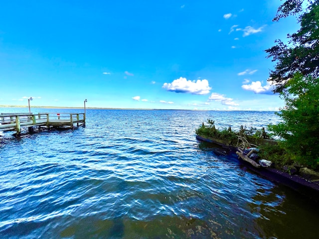 dock area with a water view