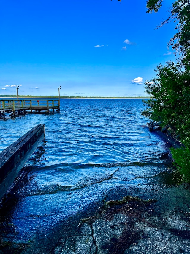 dock area with a water view