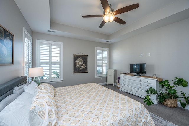 bedroom featuring carpet flooring, a tray ceiling, and multiple windows