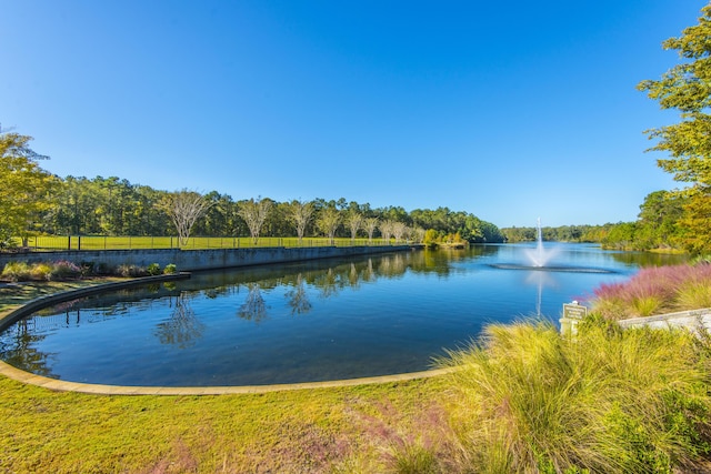 property view of water