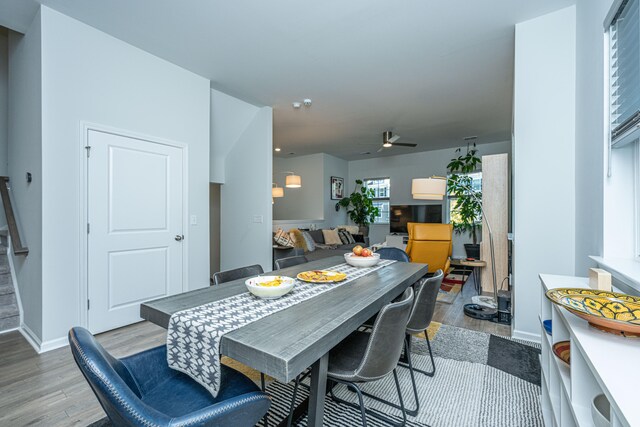 dining room with light hardwood / wood-style flooring and ceiling fan