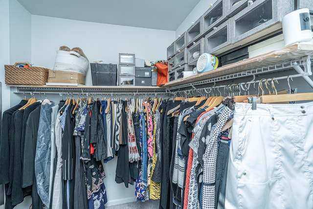 view of spacious closet