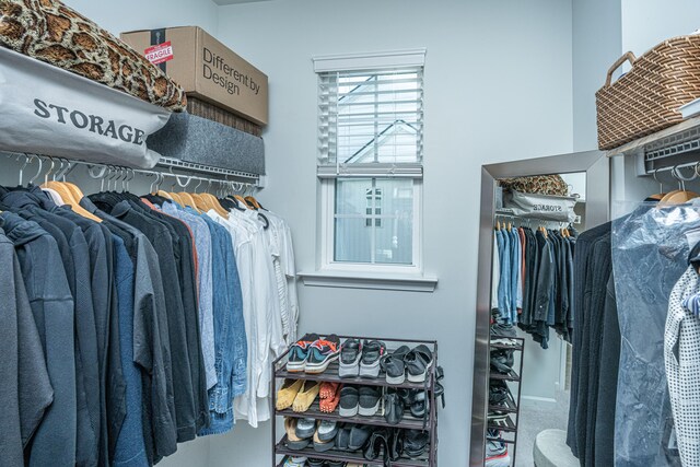 spacious closet with carpet