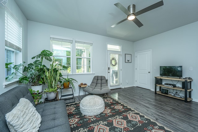 living room featuring ceiling fan and dark hardwood / wood-style flooring