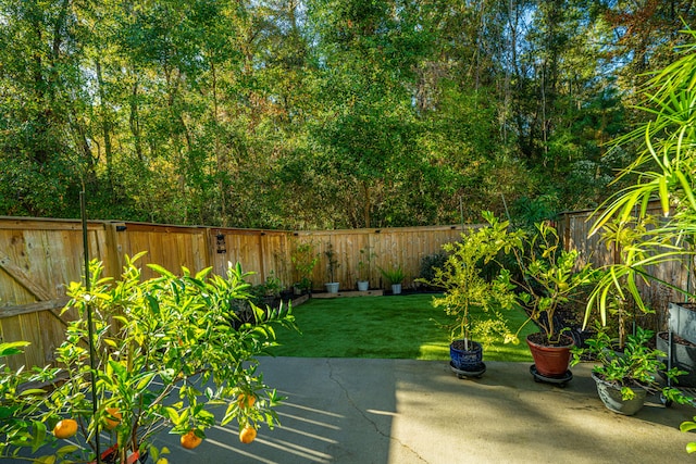 view of yard with a patio area