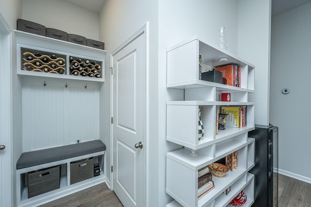 mudroom featuring dark wood-type flooring