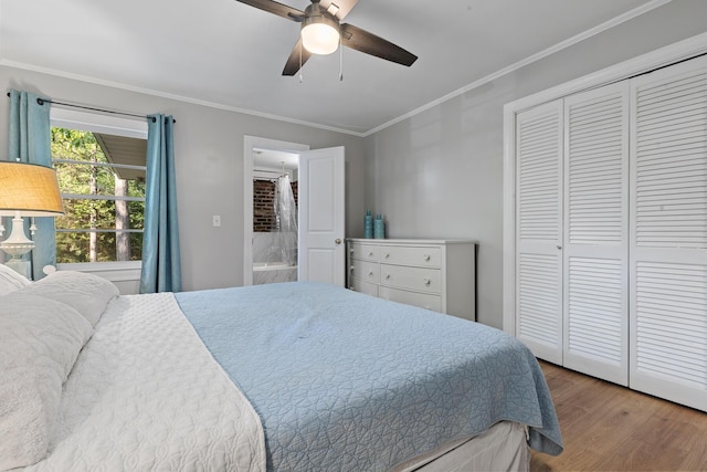 bedroom featuring crown molding, ceiling fan, ensuite bathroom, a closet, and wood finished floors