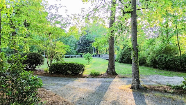 view of home's community with a yard