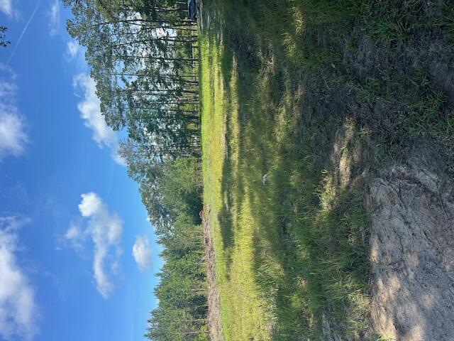 4 Rudd Rd, Ridgeville, SC 29472