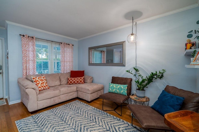 living room featuring wood-type flooring and crown molding