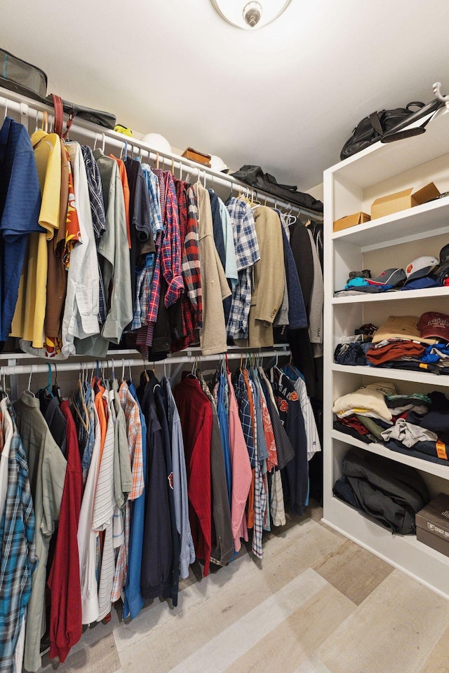 view of spacious closet